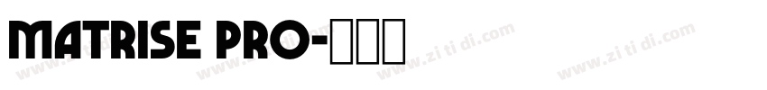 Matrise Pro字体转换